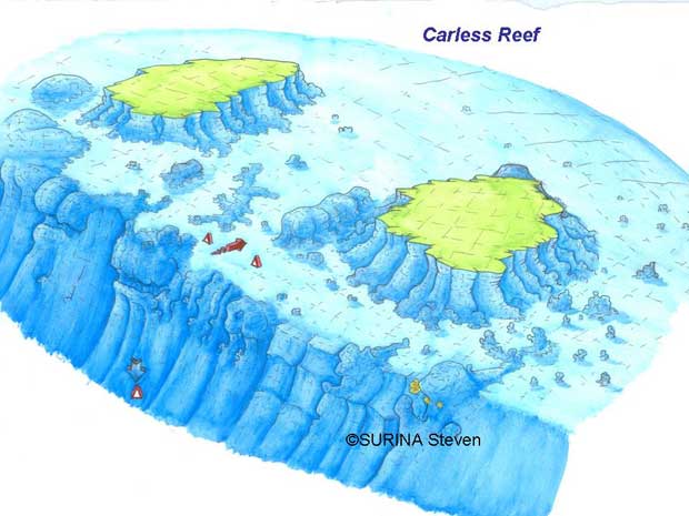 carless-reef